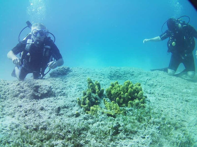 Chania: Scuba Diving and Snorkeling for Beginners by Boat - Final Thoughts