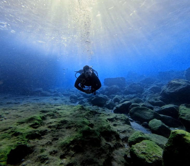 Chania Scuba Diving | Fun Dives | Certified Divers - Why This Tour is a Great Choice
