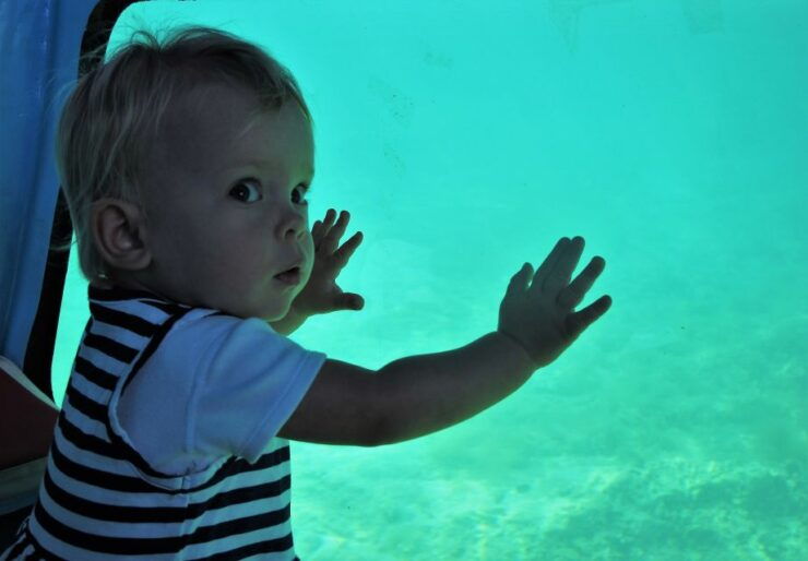 Chania: Semi-Submarine Boat Underwater Experience - Activity Details