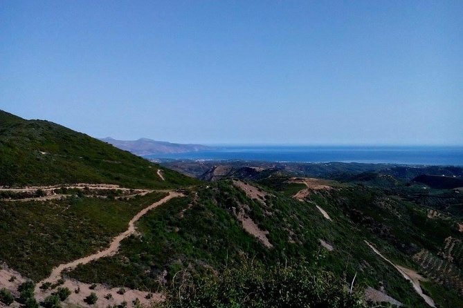 Chania Shore Excursion Vineyard and Winery Tour Half Day - Positive Reviews and Testimonials