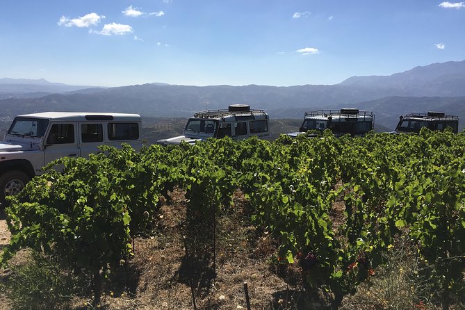 Chania Shore Excursion Vineyard and Winery Tour Half Day - Support and Contact Information