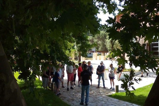 Chania Shore Excursion Vineyard and Winery Tour Half Day - The Sum Up