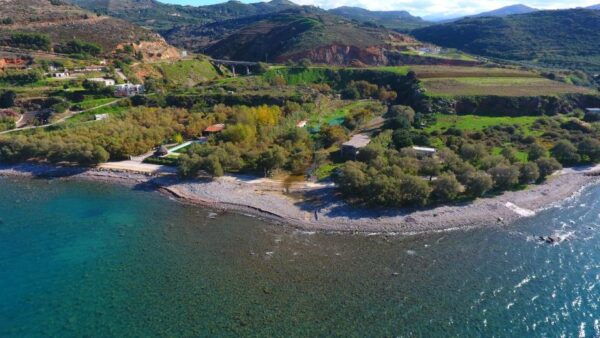 Chania Tasting Tour (Bakery, Olive Oil, Honey & Cheese) - Frequently Asked Questions