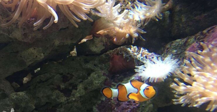 Chania to Creta Aquarium & Heraklion City Private Tour - Booking Information