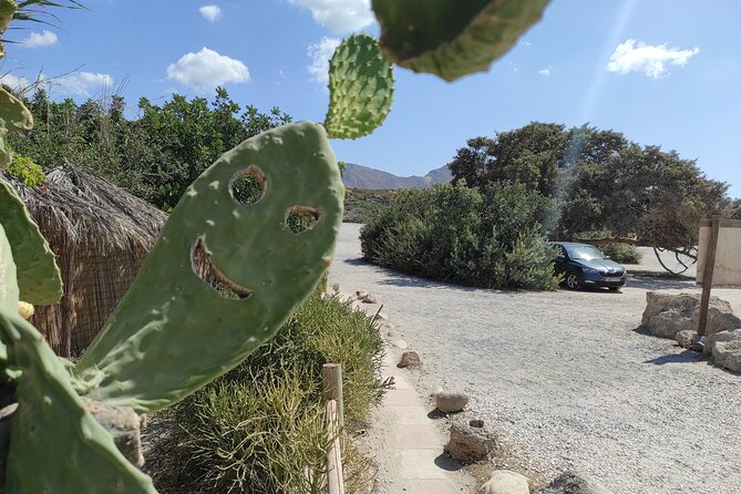 Chania to Elafonisi Beach and Traditional Villages Private Tour - Common Questions
