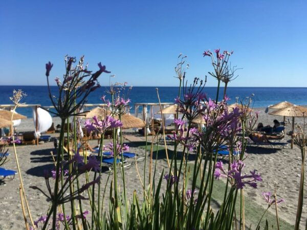 Chania to Elafonissi Beach Private Transfer - Common Questions