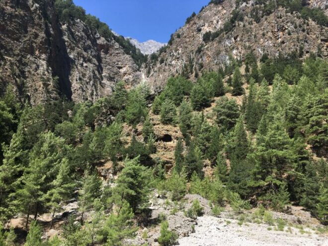 Chania to Imbros Gorge Private Full Day Transfer - Opportunity to See Endangered Flora and Fauna