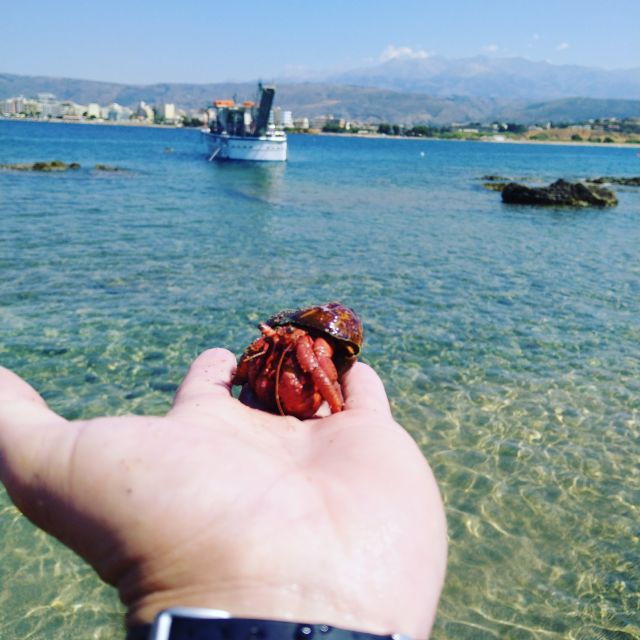 Chania Town: Glass-Bottom Boat Cruise to Thodorou & Lazareta - Good To Know