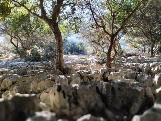 Chania: Traditional Villages, Local Producers and Artisans - Experience