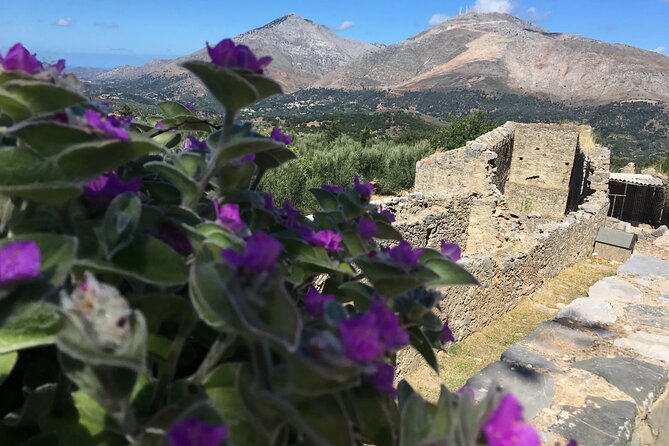 Chania White Mountains Private Tour: From Sea to Summit! - Memorable Summit Experience
