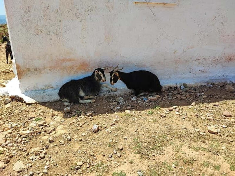 Chania:Balos&Falassarna Private Jeep Safari + Lunch&Loungers - An In-Depth Look at the Tour Experience