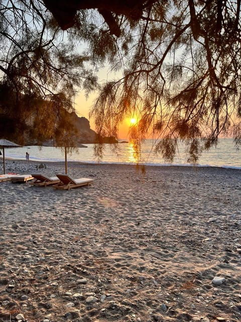 Chania:Elafonisi,Chrisoskalitisa & Sfinari Private Tour - What’s Included and What to Bring