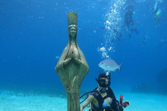 Chankanaab Park Admission +Snorkeling + Lunch included - Introduction: Why Consider Chankanaab Park?