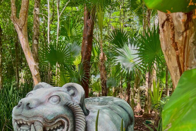 Chankanaab Park Admission + Welcome drink + Snorkeling - Who Should Consider This Tour?