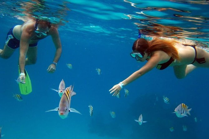 Chankanaab Park Cozumel All Inclusive Ultimate Package - Features of Chankanaab Beach Adventure Park