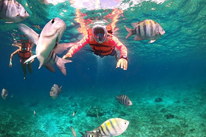 Chankanaab Park Cozumel All Inclusive Ultimate Package - Inclusions in the All-inclusive Ultimate Package