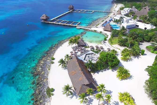 Chankanaab Park Cozumel All Inclusive Ultimate Package - Customer Reviews and Experiences