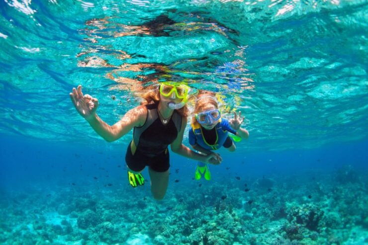 Chankanaab Park Cozumel Day Pass and Snorkeling Package - Experience Highlights