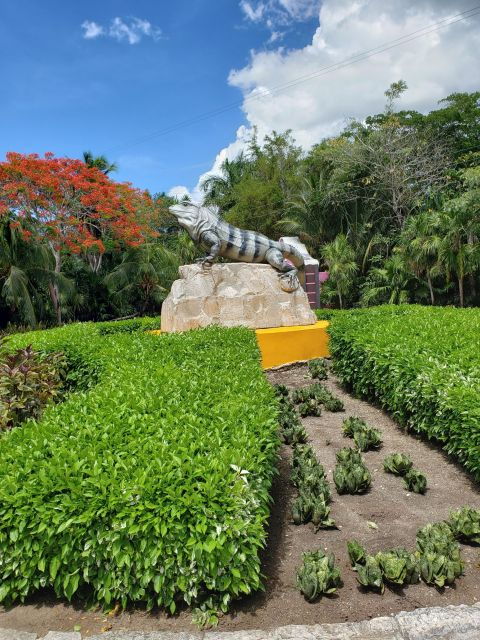 Chankanaab Park Cozumel Day Pass With Lunch and Open Bar - Experience