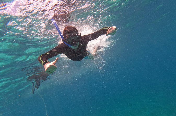 Chankanaab Park entrance ticket with snorkeling and buffet included - Good To Know