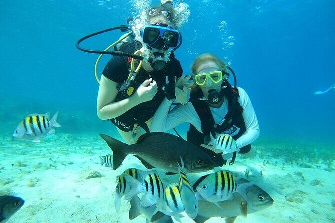 Chankanaab Park Plus Discovery Scuba Dive with Lunch - Good To Know