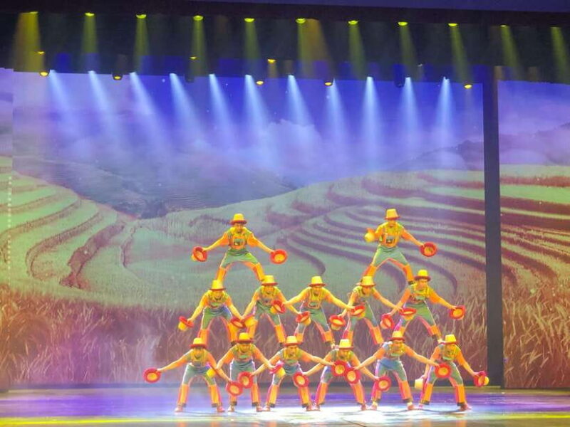 Chaoyang Acrobatics Ticket - Introducing the Chaoyang Acrobatics Show Experience
