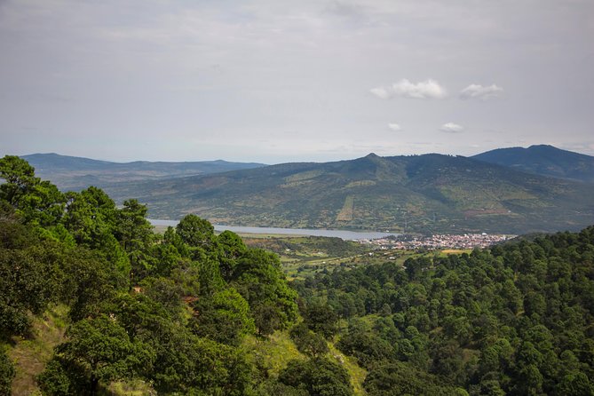 Chapala Lake and Ajijic Tour From Guadalajara - Mixed Experiences