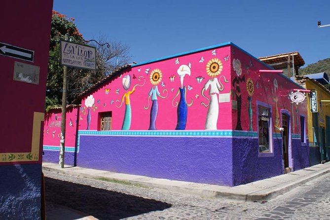 Chapala Lake and Ajijic Tour From Guadalajara - Cancellation Policy