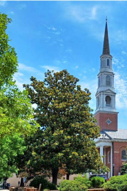 Chapel Hill Historic Churches Tour - Tour Experience