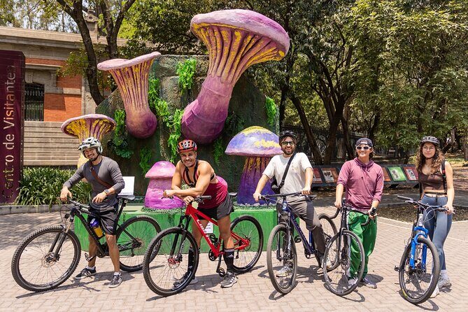 Chapultepec Castle or Anthropology Museum bike tour - Practical Details and What to Expect