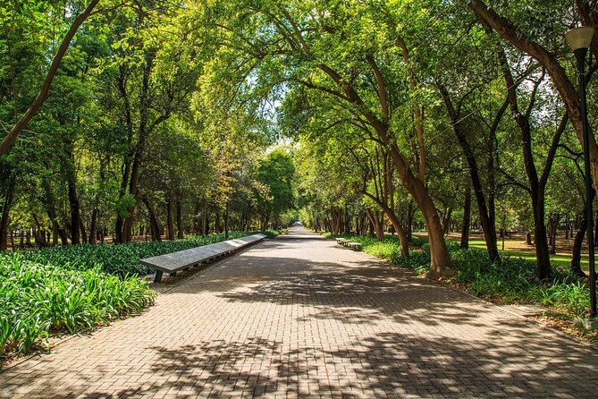 Chapultepec Park by Bike Guided Tour - Additional Information and Terms