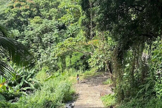 Charco el Hippie Tour - The Sum Up