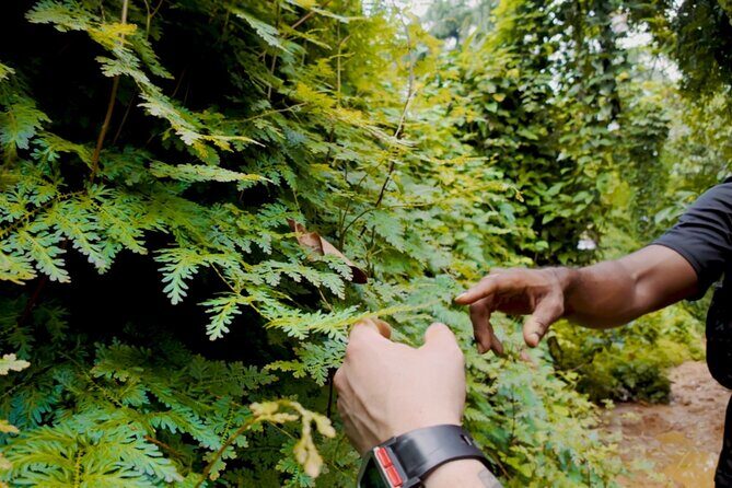 Charco Frío y Las Tinajas Experience with Provista Tours - Exploring the Itinerary in Detail