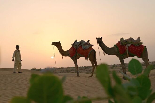 Charisma Camel Safari 2 Night 3 Day Non Touristic Area - Booking and Payment