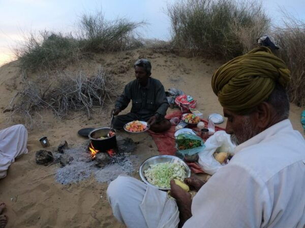 Charisma Camel Safari 2 Night 3 Day Non Touristic Area - The Sum Up