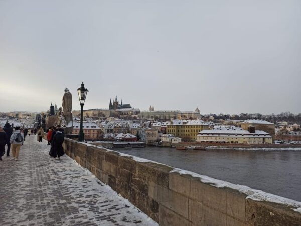 Charles Bridge and Prague Castle Walking Tour - Inclusions and Exclusions
