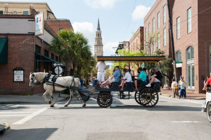 Charleston: 1-Hour Carriage Tour of the Historic District - Tour Duration and Cancellation Policy