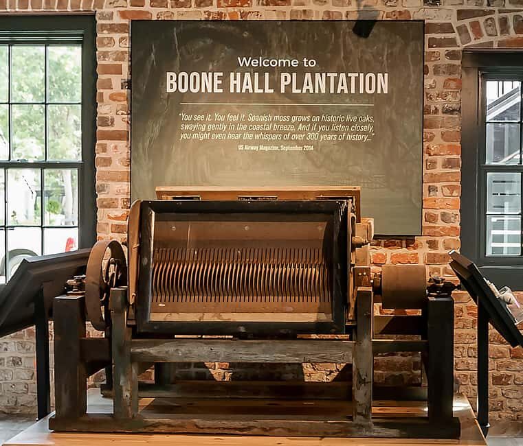 Charleston: Boone Hall Plantation Tour - Who Will Love This Tour?