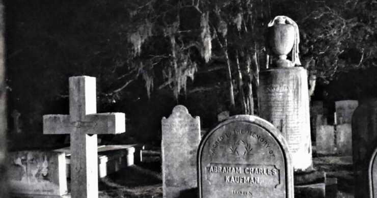 Charleston: Dark History & Ghost Tour - Experience Highlights and Inclusions