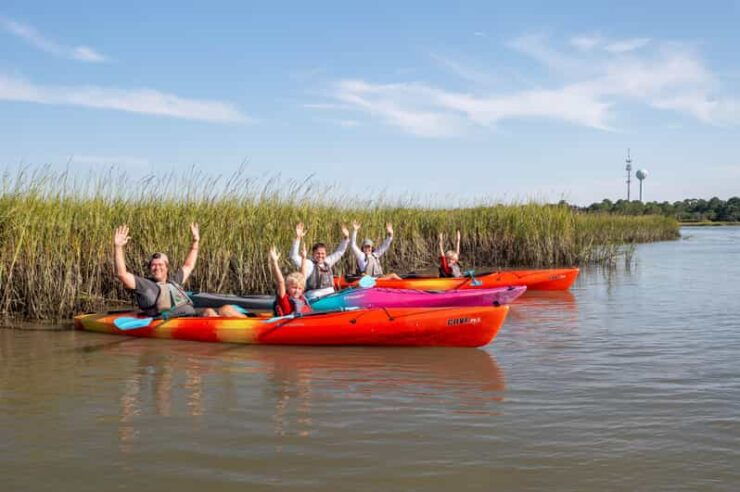 Charleston: Folly Beach Afternoon Kayak Dolphin Safari - Tour Experience