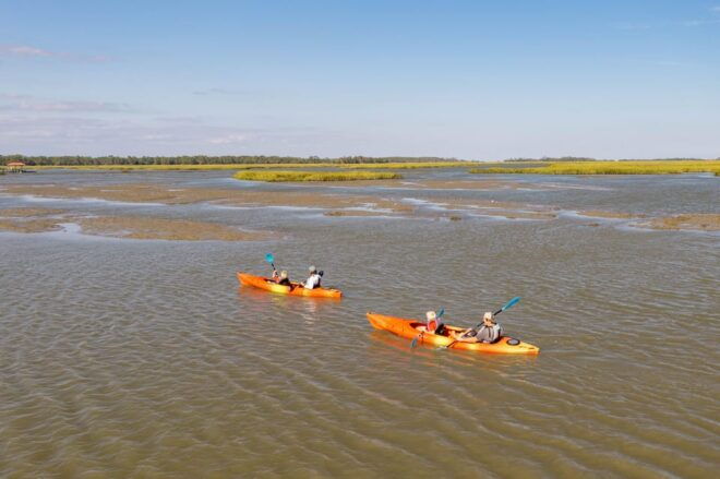 Charleston: Folly Beach Afternoon Kayak Dolphin Safari - Flexibility and Cancellation Policy