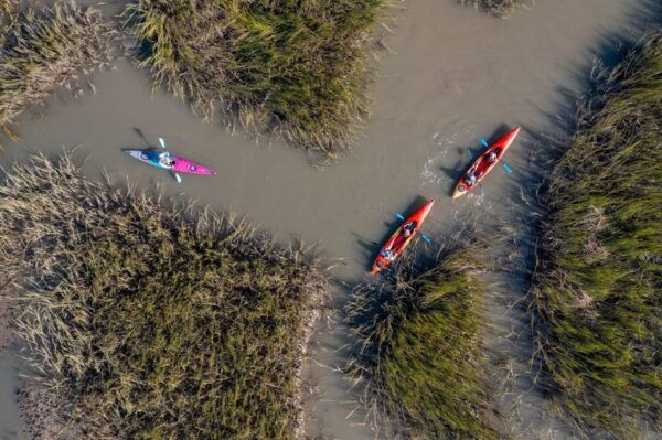 Charleston: Folly Beach Afternoon Kayak Dolphin Safari - Kayak Safari Highlights