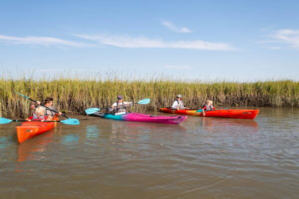 Charleston: Folly Beach Afternoon Kayak Dolphin Safari - Frequently Asked Questions