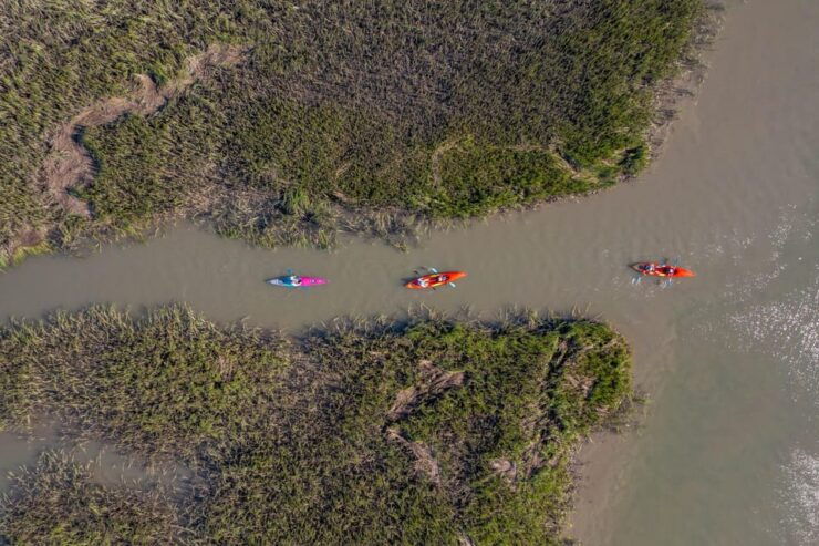 Charleston: Folly Beach Kayak Dolphin Safari - Experience Details