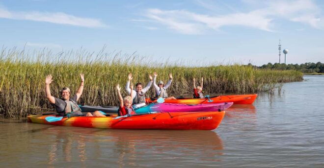 Charleston: Folly Beach Kayak Dolphin Safari - Tour Highlights