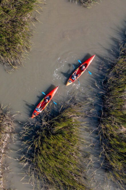 Charleston: Folly Beach Kayak Dolphin Safari - Booking Information