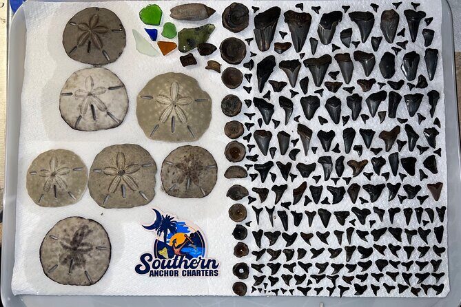 Charleston/Folly Beach Shark Tooth and fossil Island Drop off - What’s Included and What’s Not