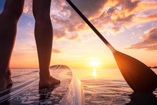 Charleston/Folly Beach Stand up Paddleboard Tour - Tour Inclusions