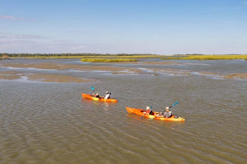 Charleston: Folly River Sunset Kayak Dolphin Safari - Why It’s a Great Value