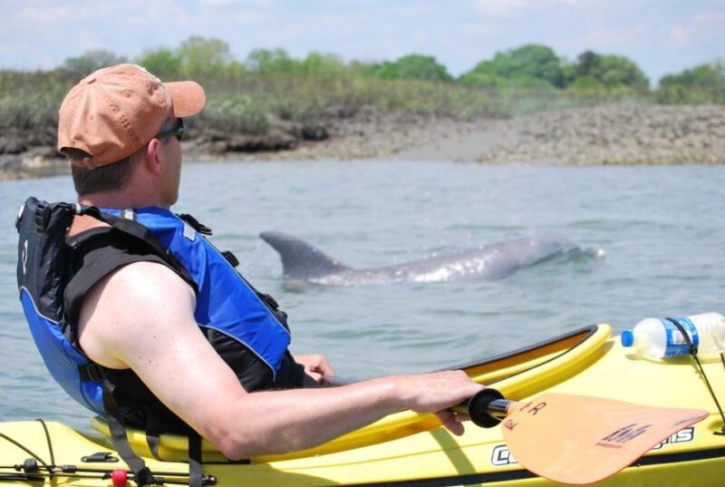 Charleston: Guided 2hr. Kayak Tour with a Tandem or Single - Who Will Love This Tour?